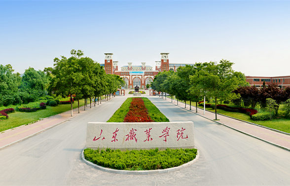 山东职业学院